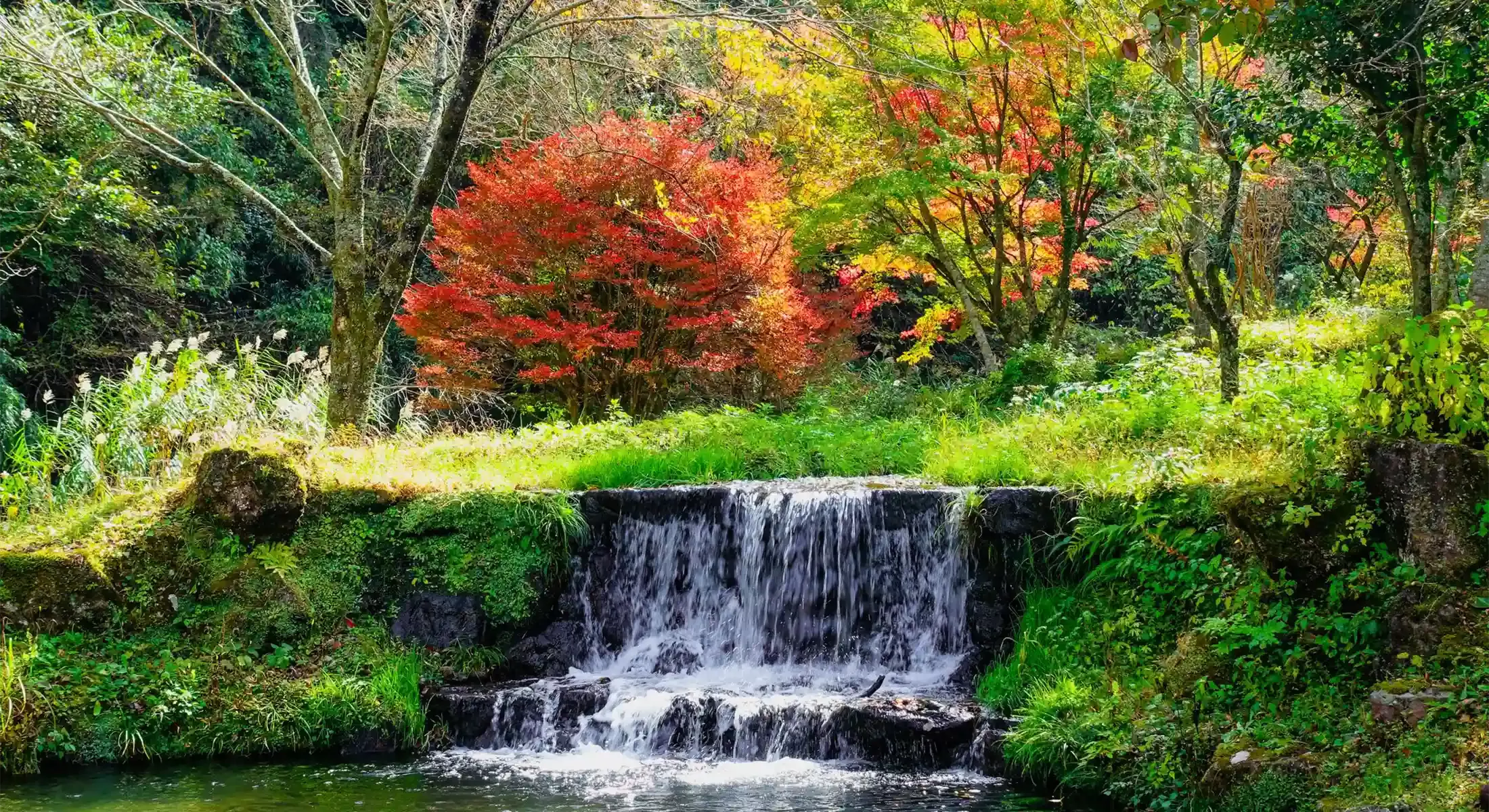 Natural water fall in nature at the Yufuin Hot Springs, Japan