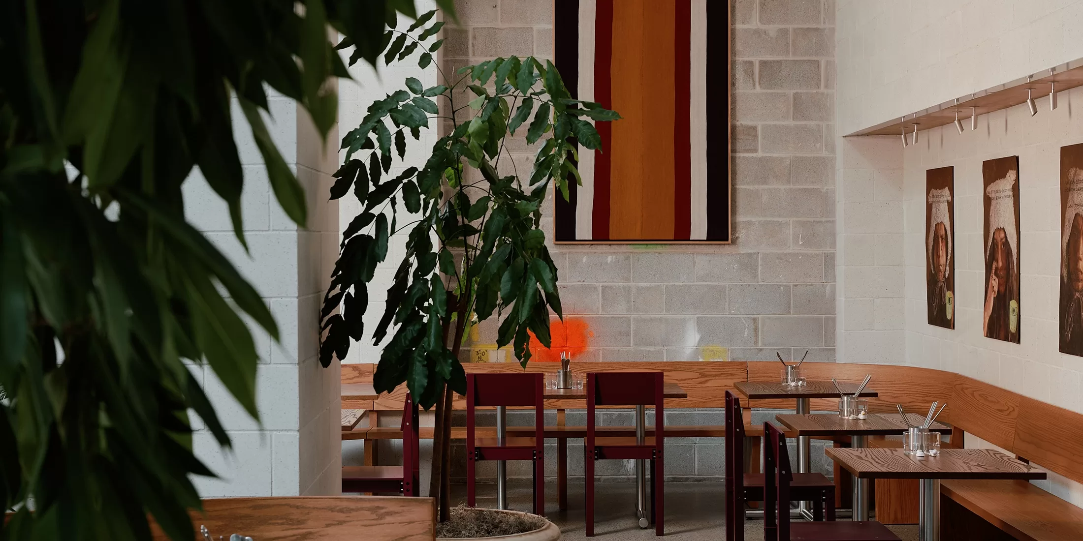 A modern cafe with wooden tables and red chairs arranged neatly. A tall potted plant partially obscures the view. Abstract wall art and small vases decorate the space, and sunlight filters through, creating a cozy atmosphere.