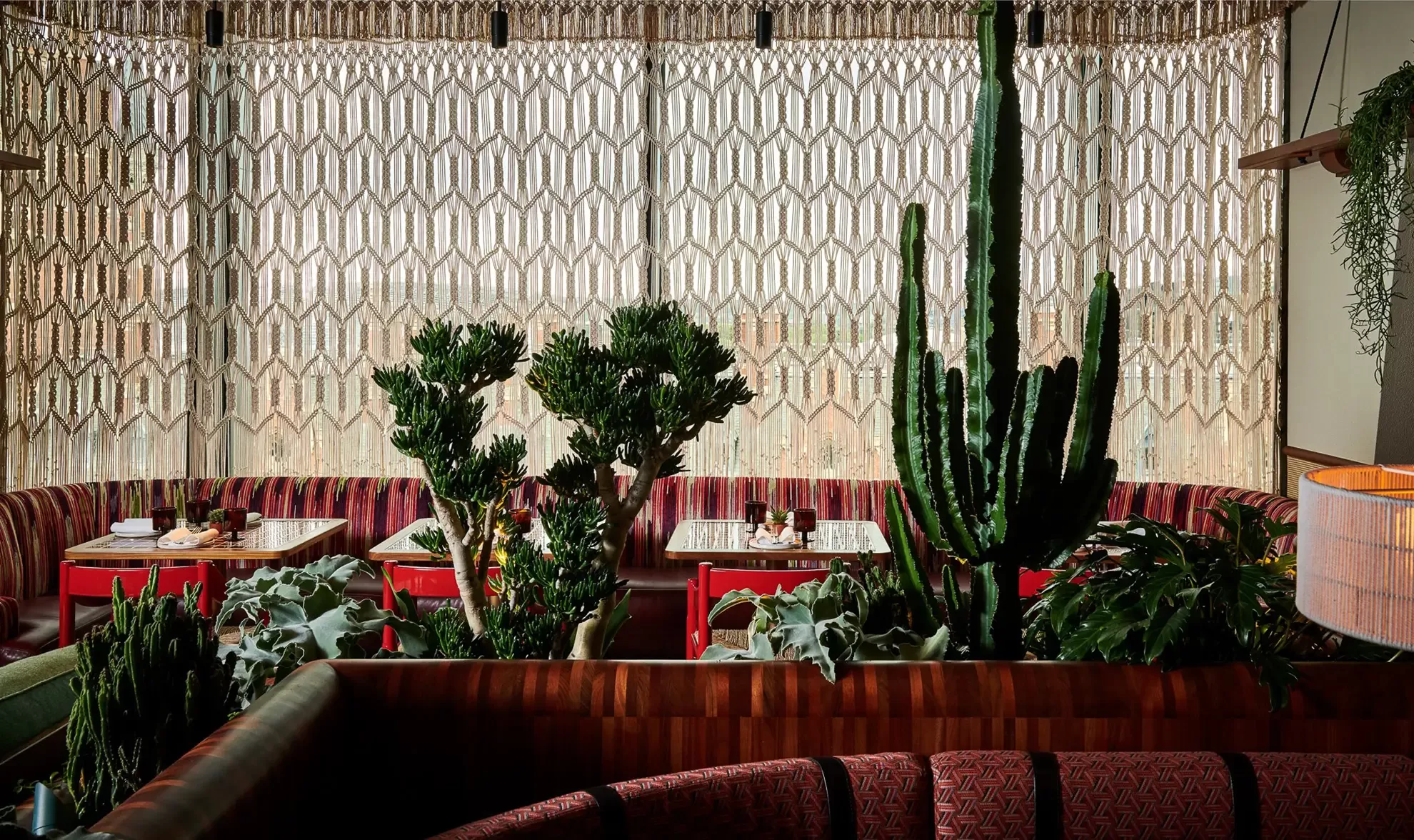 A cozy restaurant interior with red patterned booths, white marble tables, large potted cacti and succulents, and sheer geometric curtains allowing soft natural light in.