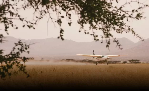 A small plane lands on a dusty airstrip in a savannah landscape, framed by silhouetted branches. Mountains are faintly visible in the background under a hazy sky.